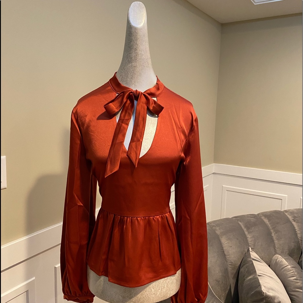 David Lerner NYC Necktie Blouse